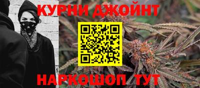 ALPHA PVP Гусев