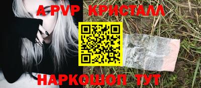гашик Гусиноозёрск