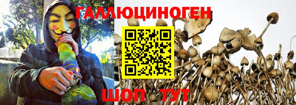 Можга  Псилоцибиновые грибы Psilocybe  Галлюциногенные грибы мицелий  Вход с VPN 